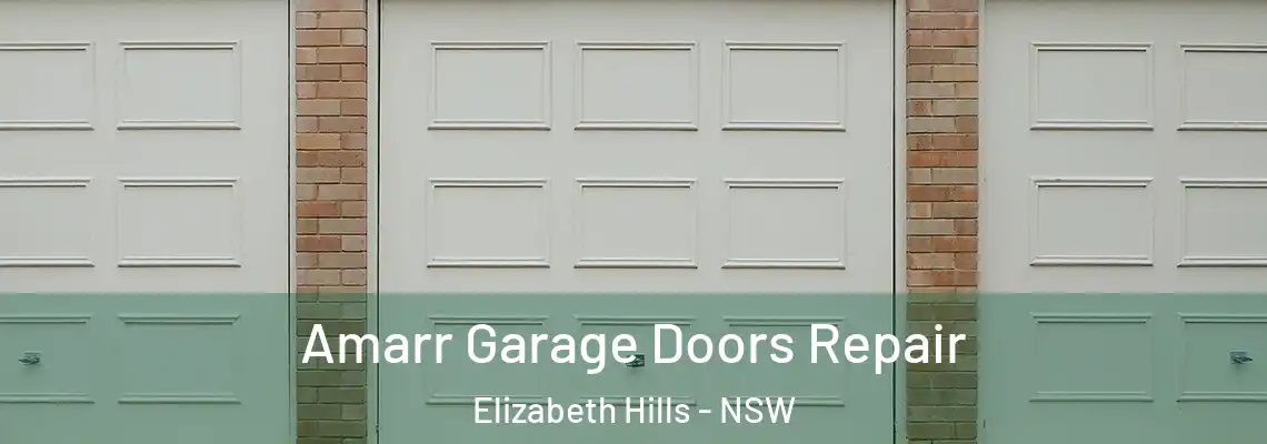 Amarr Garage Doors Repair Elizabeth Hills - NSW
