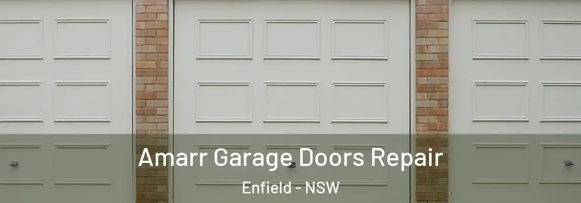  Amarr Garage Doors Repair Enfield - NSW