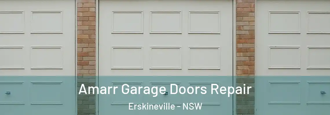 Amarr Garage Doors Repair Erskineville - NSW