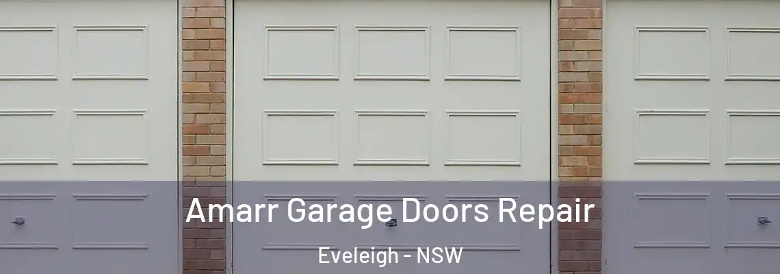 Amarr Garage Doors Repair Eveleigh - NSW