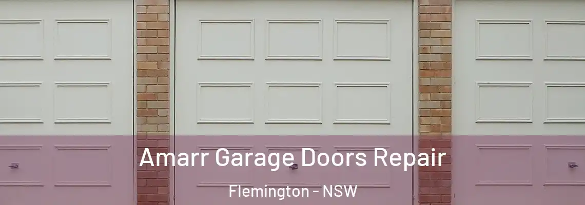 Amarr Garage Doors Repair Flemington - NSW