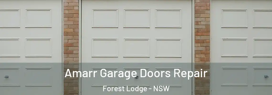  Amarr Garage Doors Repair Forest Lodge - NSW