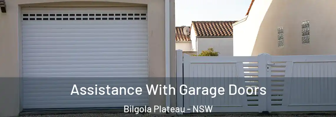 Assistance With Garage Doors Bilgola Plateau - NSW