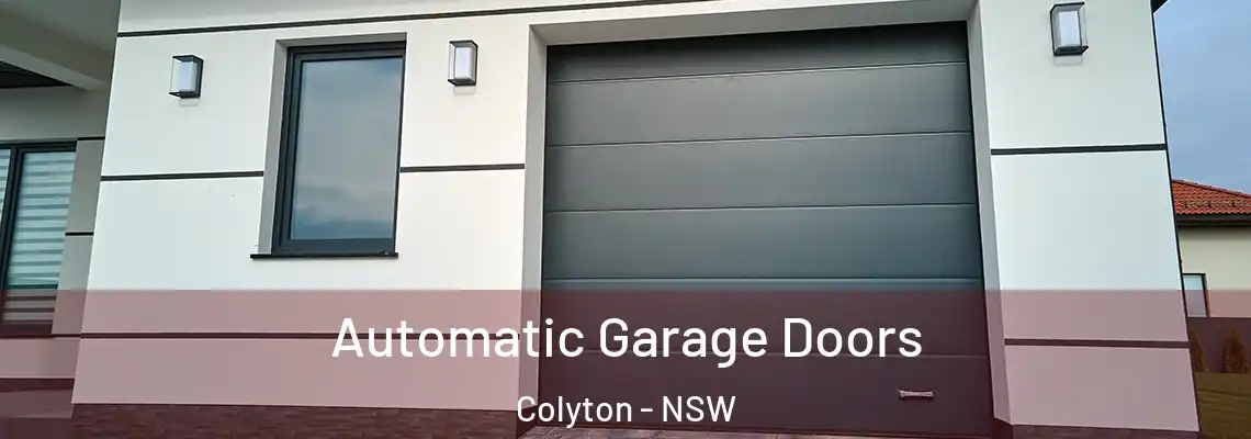  Automatic Garage Doors Colyton - NSW