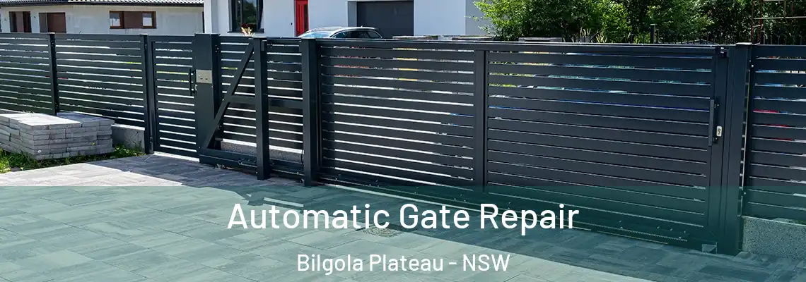 Automatic Gate Repair Bilgola Plateau - NSW