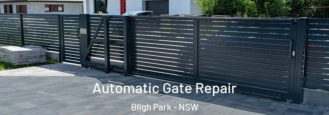 Automatic Gate Repair Bligh Park - NSW