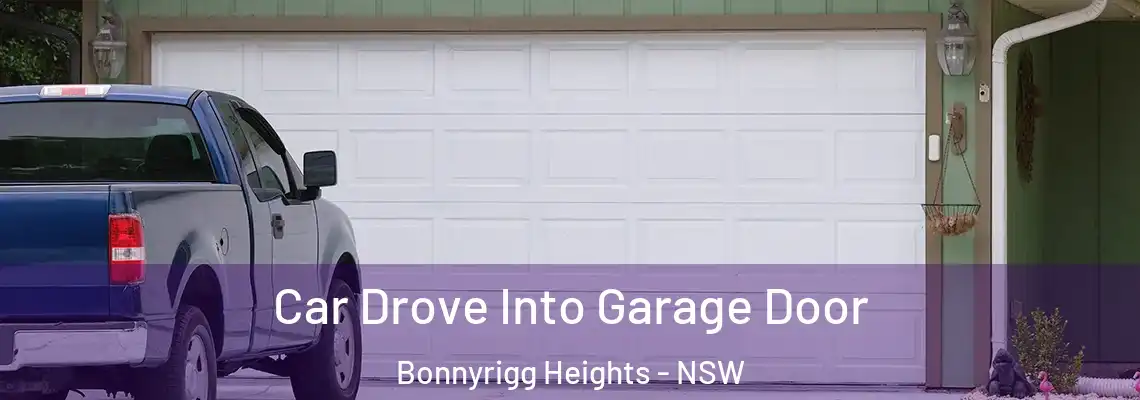  Car Drove Into Garage Door Bonnyrigg Heights - NSW