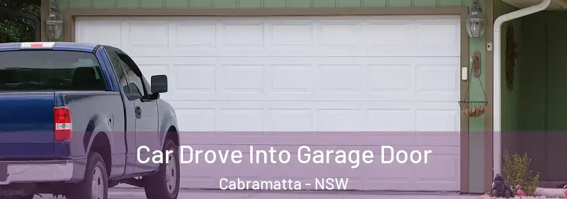 Car Drove Into Garage Door Cabramatta - NSW