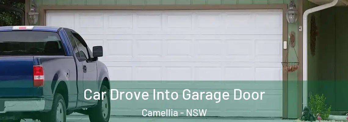 Car Drove Into Garage Door Camellia - NSW