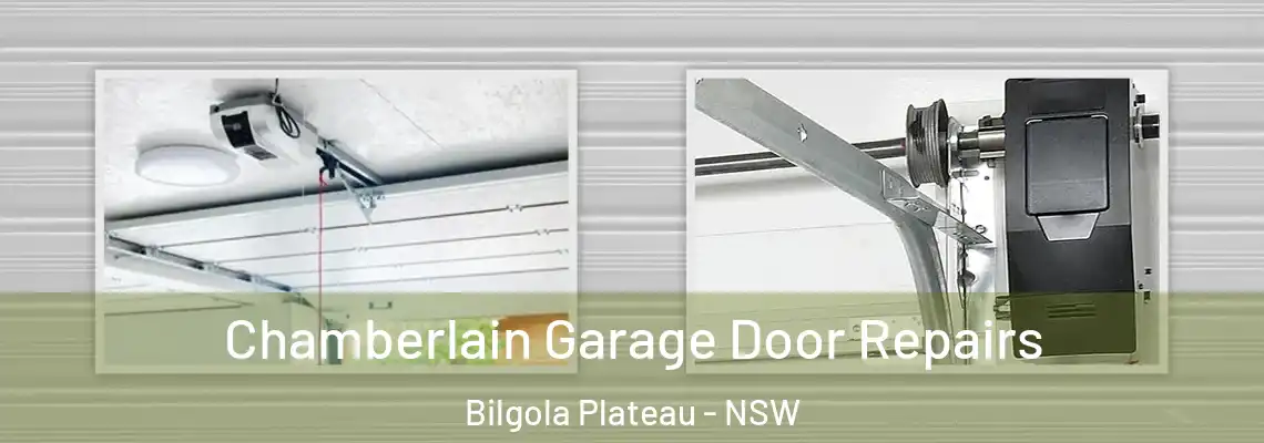 Chamberlain Garage Door Repairs Bilgola Plateau - NSW