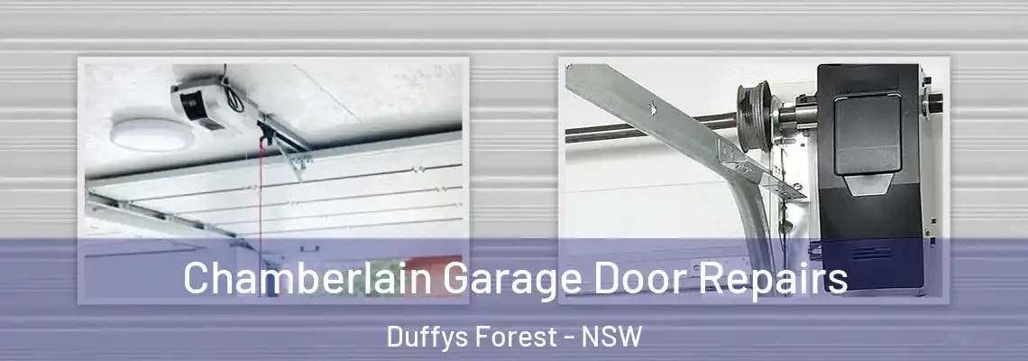 Chamberlain Garage Door Repairs Duffys Forest - NSW