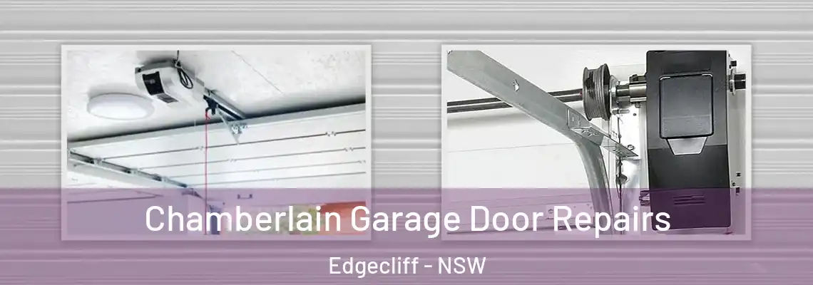 Chamberlain Garage Door Repairs Edgecliff - NSW