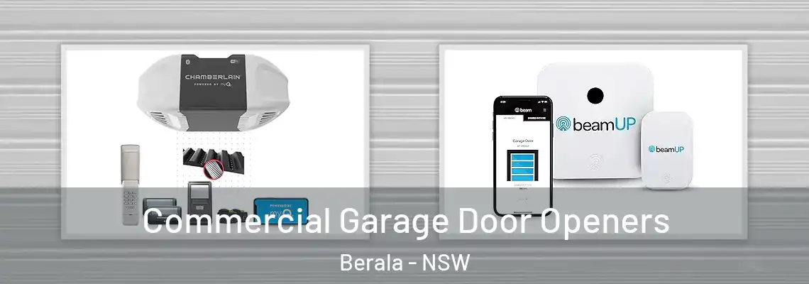 Commercial Garage Door Openers Berala - NSW