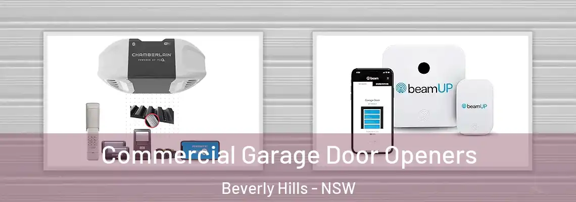 Commercial Garage Door Openers Beverly Hills - NSW