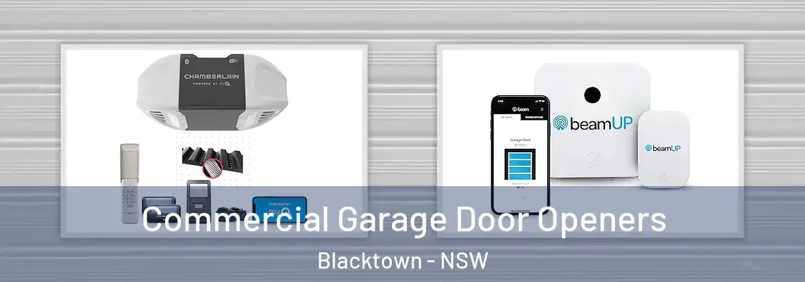  Commercial Garage Door Openers Blacktown - NSW