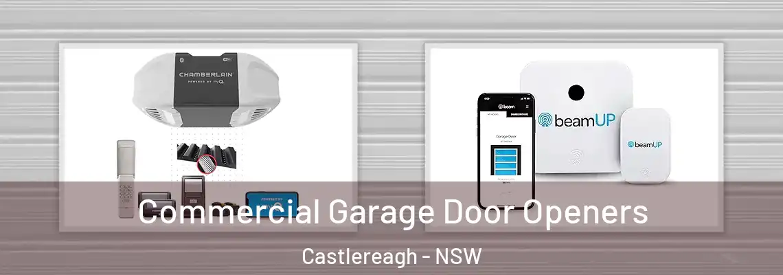 Commercial Garage Door Openers Castlereagh - NSW