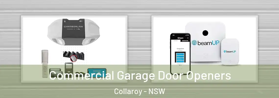 Commercial Garage Door Openers Collaroy - NSW