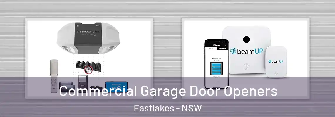  Commercial Garage Door Openers Eastlakes - NSW