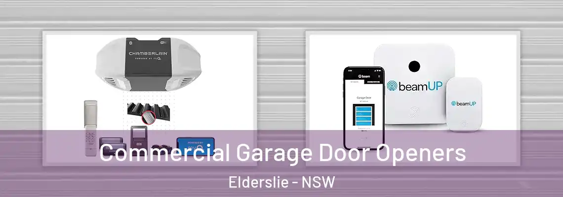  Commercial Garage Door Openers Elderslie - NSW