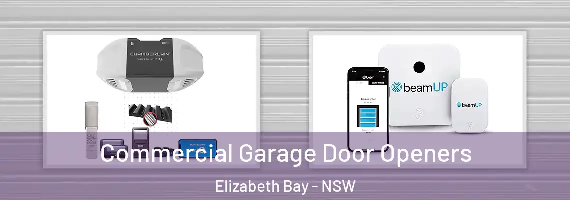 Commercial Garage Door Openers Elizabeth Bay - NSW