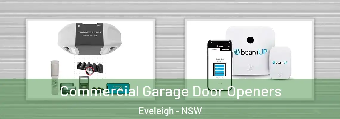 Commercial Garage Door Openers Eveleigh - NSW