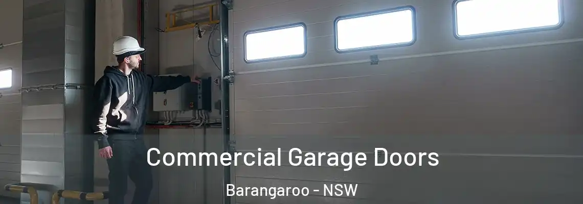 Commercial Garage Doors Barangaroo - NSW