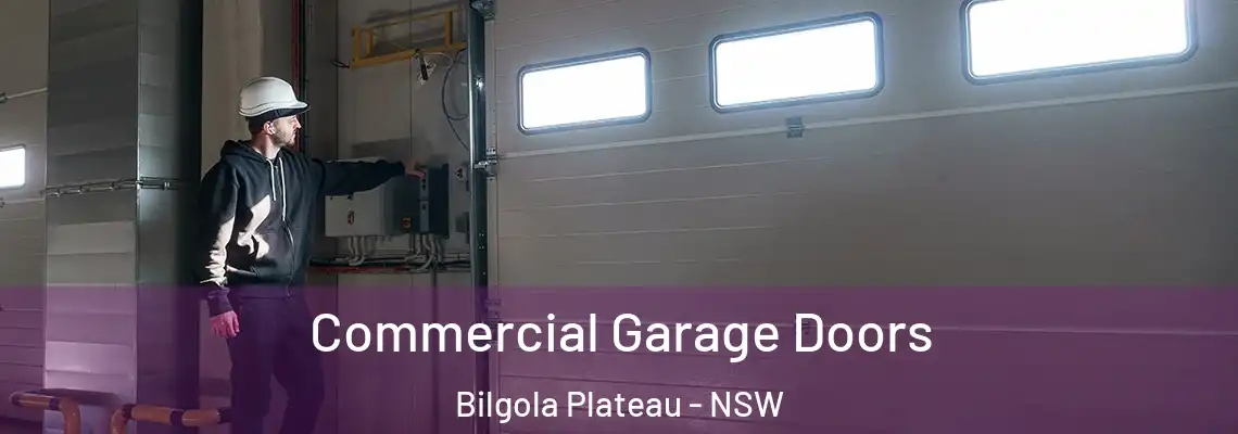 Commercial Garage Doors Bilgola Plateau - NSW