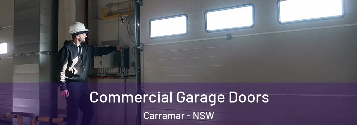 Commercial Garage Doors Carramar - NSW