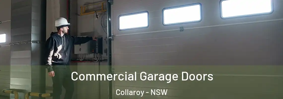 Commercial Garage Doors Collaroy - NSW