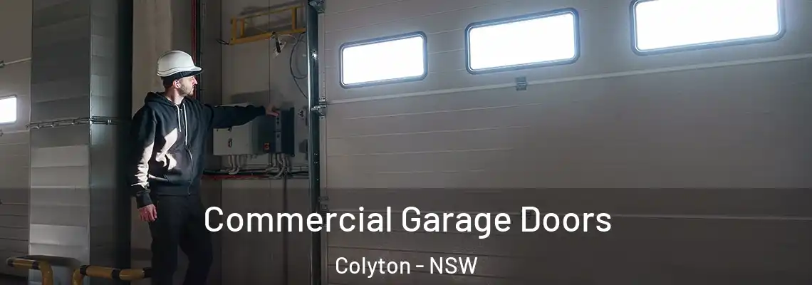 Commercial Garage Doors Colyton - NSW