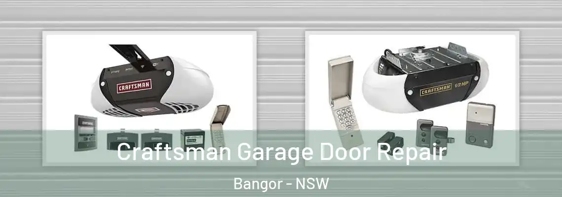 Craftsman Garage Door Repair Bangor - NSW