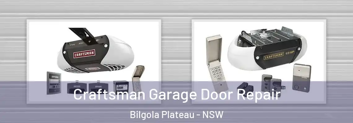 Craftsman Garage Door Repair Bilgola Plateau - NSW