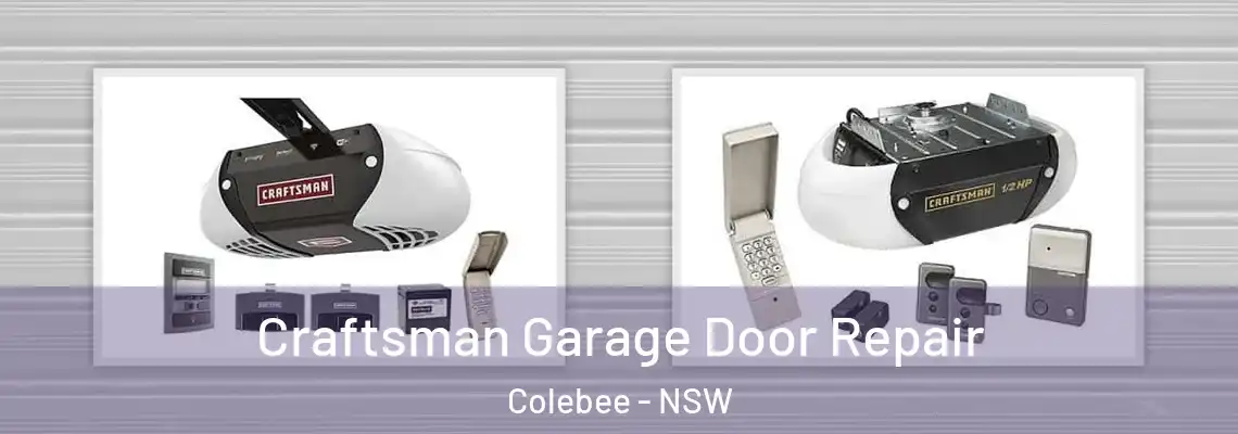 Craftsman Garage Door Repair Colebee - NSW