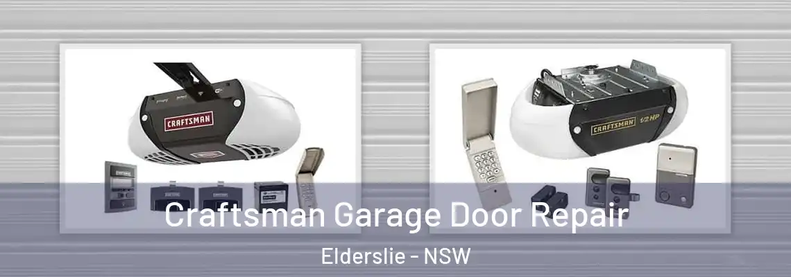 Craftsman Garage Door Repair Elderslie - NSW