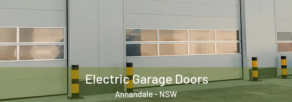 Electric Garage Doors Annandale - NSW