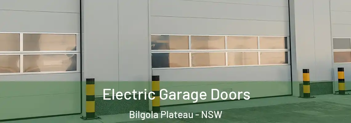 Electric Garage Doors Bilgola Plateau - NSW