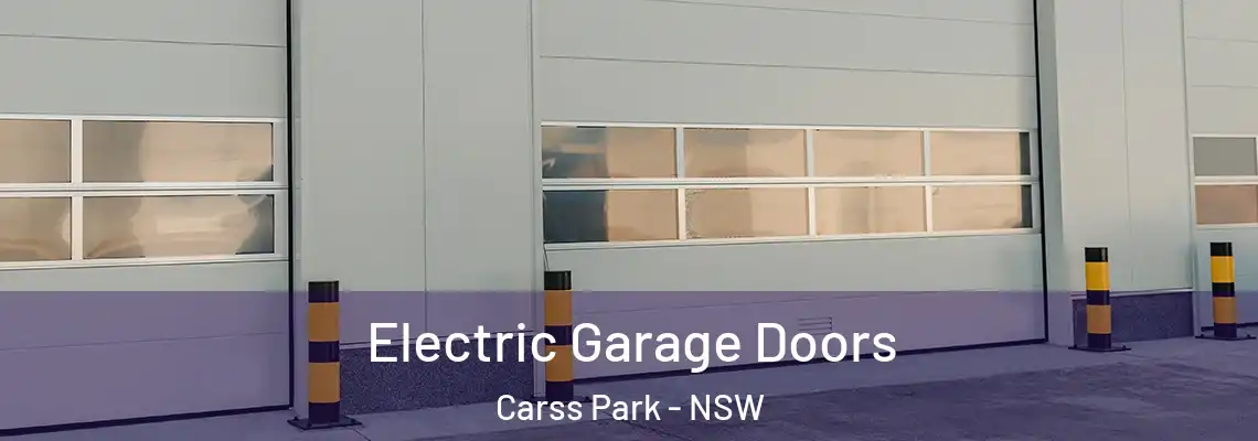 Electric Garage Doors Carss Park - NSW