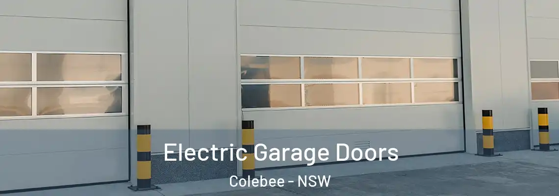  Electric Garage Doors Colebee - NSW