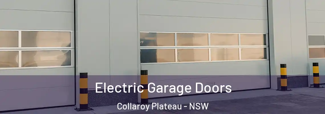 Electric Garage Doors Collaroy Plateau - NSW