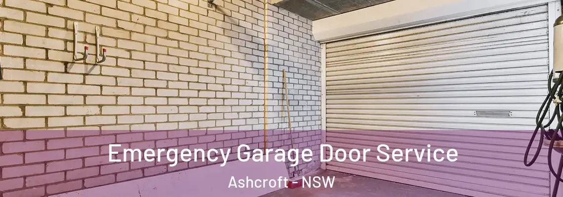 Emergency Garage Door Service Ashcroft - NSW