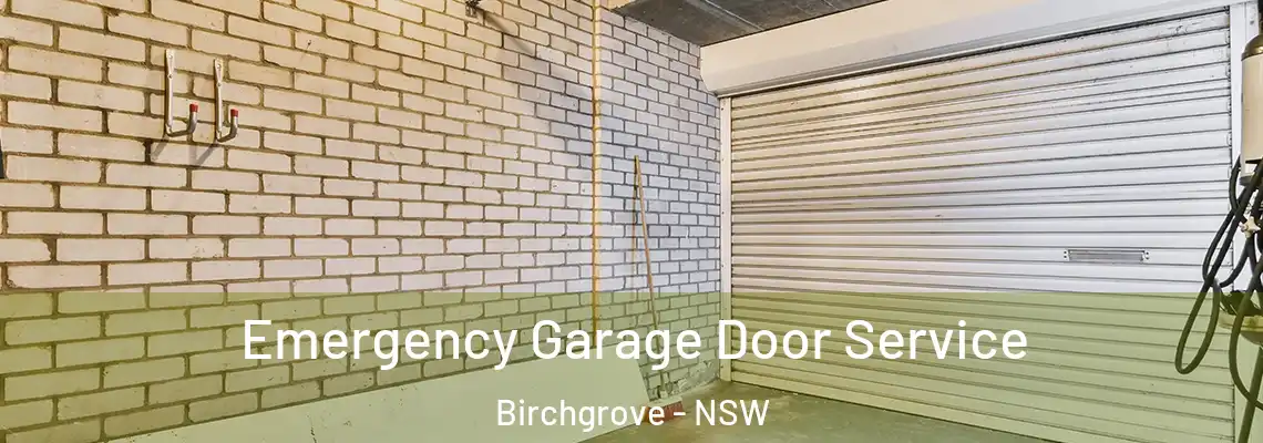 Emergency Garage Door Service Birchgrove - NSW
