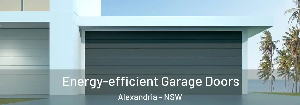 Energy-efficient Garage Doors Alexandria - NSW