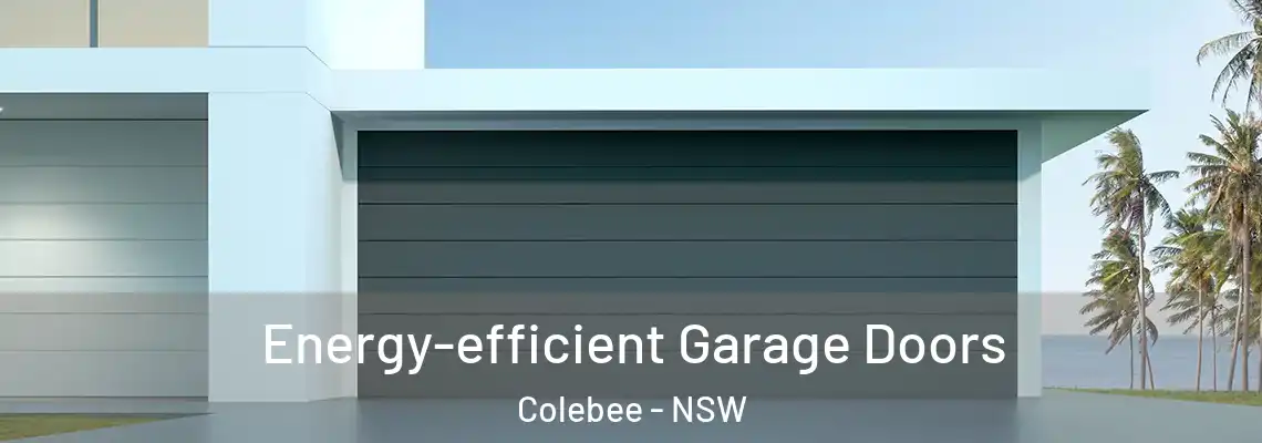 Energy-efficient Garage Doors Colebee - NSW