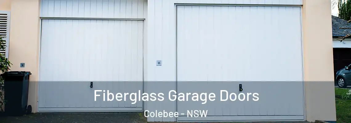 Fiberglass Garage Doors Colebee - NSW