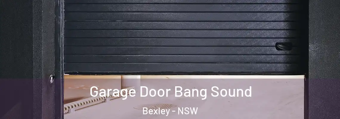  Garage Door Bang Sound Bexley - NSW
