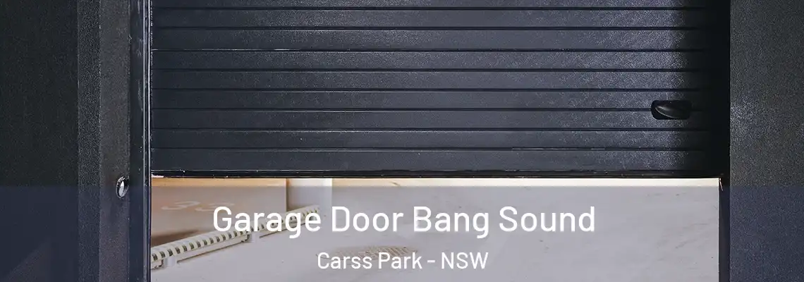 Garage Door Bang Sound Carss Park - NSW
