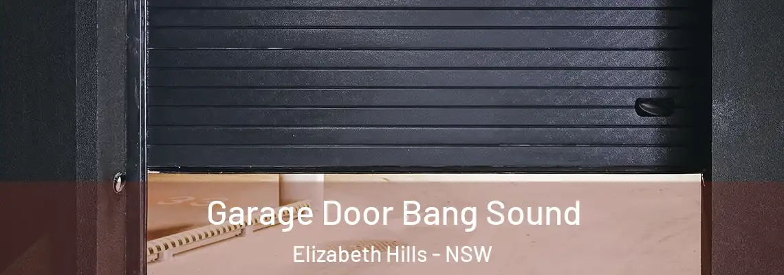 Garage Door Bang Sound Elizabeth Hills - NSW