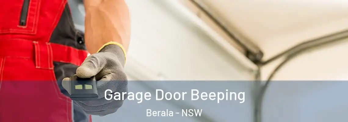 Garage Door Beeping Berala - NSW