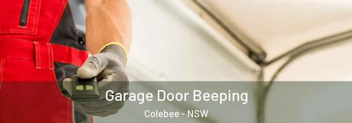 Garage Door Beeping Colebee - NSW