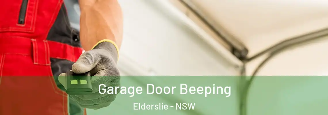 Garage Door Beeping Elderslie - NSW